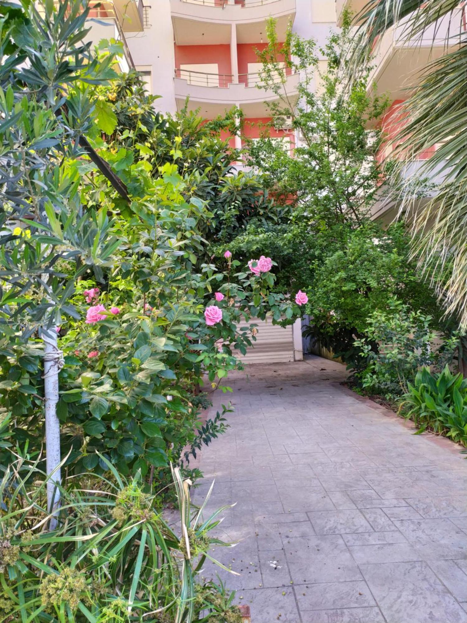 Valbona Apartments Vlorë エクステリア 写真